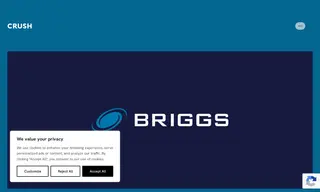 Preview of the Briggs of Burton Plc Case Study