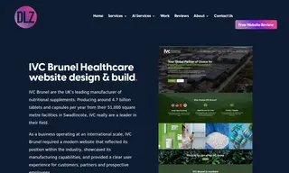 Preview of the IVC Brunel Case Study