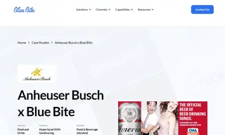 Preview of the Anheuser Busch Case Study