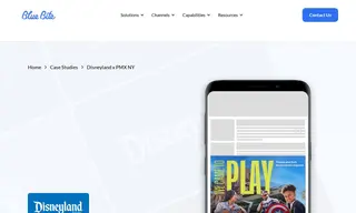 Preview of the Disneyland Case Study
