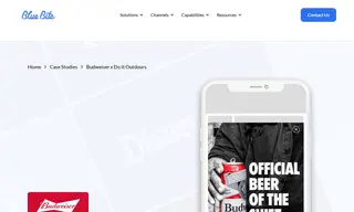 Preview of the Budweiser Case Study