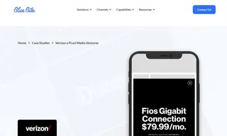 Preview of the Verizon Case Study