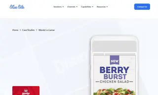 Preview of the Wendy's Case Study