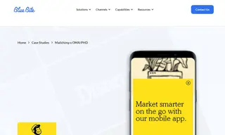 Preview of the MailChimp Case Study