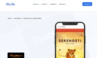 Preview of the Discovery, Inc Case Study