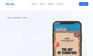 Preview of the Coach Case Study