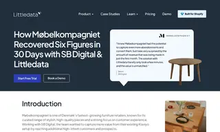 Preview of the Møbelkompagniet Case Study