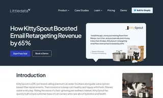 Preview of the KittySpout Case Study