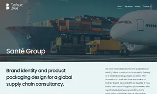 Preview of the Santé Group Case Study