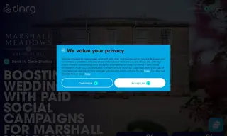 Preview of the Marshall Meadows Case Study