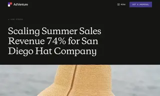 Preview of the San Diego Hat Company Case Study