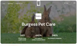 Preview of the Burgess Pet Care Case Study