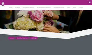 Preview of the Flourish Case Study