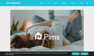 Preview of the Pims Case Study