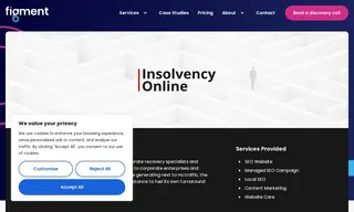 Preview of the Insolvency Online Case Study