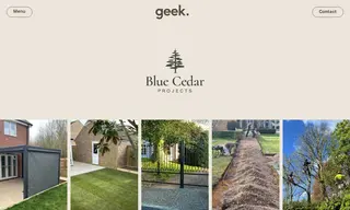 Preview of the Blue Cedar Case Study