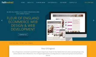 Preview of the Fleur of England Case Study