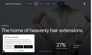 Preview of the Angel Remy Case Study