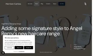 Preview of the Angel Remy Case Study