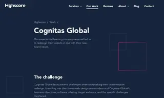 Preview of the Cognitas Global Case Study