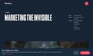 Preview of the SAAB Case Study