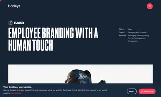Preview of the SAAB Case Study