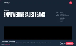 Preview of the Klarna Case Study
