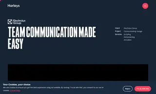 Preview of the Electrolux Group Case Study