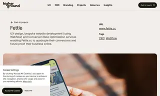 Preview of the Fettle Case Study