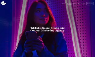 Preview of the TikTok Case Study