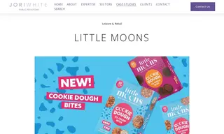 Preview of the Little Moons Case Study