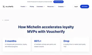 Preview of the Michelin Case Study