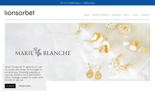 Preview of the Marie-Blanche Jewellery Boutique Case Study