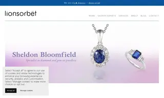 Preview of the Sheldon Bloomfield Case Study