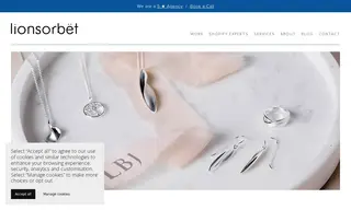 Preview of the LBJ Jewellery Case Study