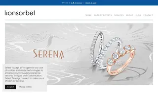 Preview of the Serena Jewellery Case Study