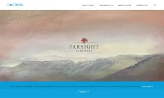 Preview of the Farsight Partners Case Study