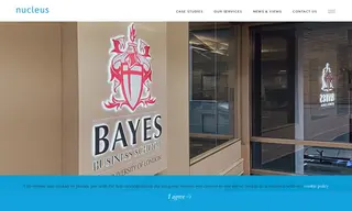 Preview of the Bayes Business School Case Study