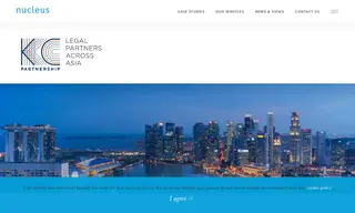 Preview of the Kelvin Chia Partnership Case Study