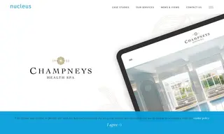 Preview of the Champneys Case Study