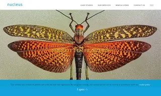Preview of the Forgotten Beauties Case Study