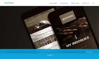 Preview of the Indosuez Wealth Management Case Study