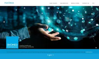 Preview of the SNOMED International Case Study
