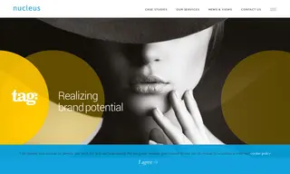Preview of the Tag Case Study