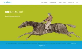 Preview of the Rothschild Global Financial Advisory Case Study