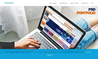 Preview of the Psd Group Case Study