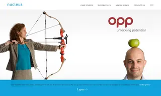 Preview of the OPP Case Study