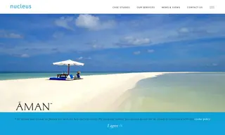 Preview of the Aman Case Study