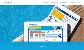 Preview of the Priceline Case Study