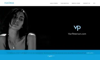 Preview of the Van Peterson Case Study